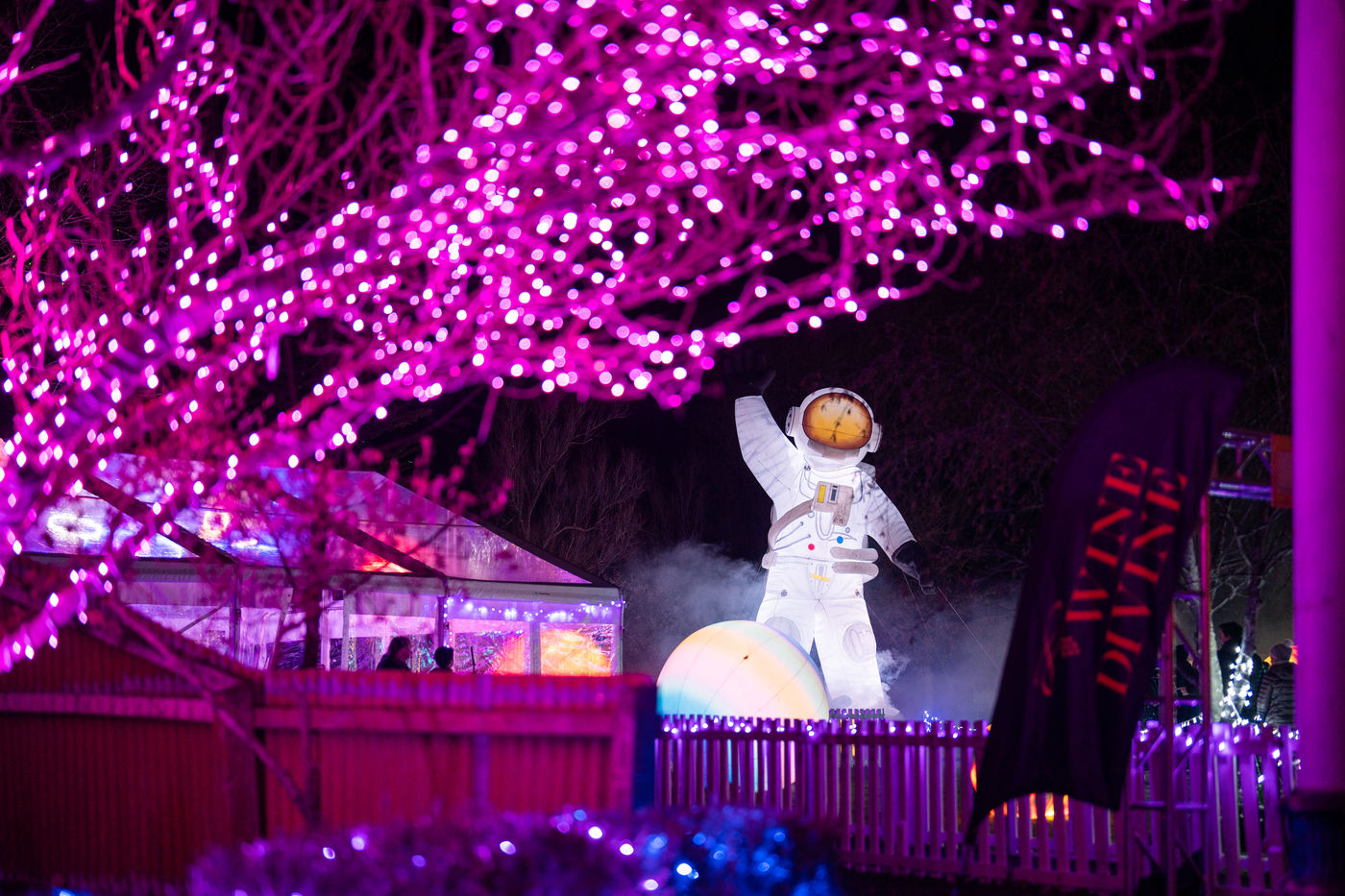 Illuminate light show installation